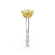 tulips1_shank-white_head-yellow_center-yellow__view-03.png