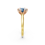 tulips1_shank-yellow_head-rose_center-blue__view-03.png
