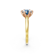 tulips1_shank-yellow_head-rose_center-blue__view-03.png