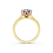 tulips1_shank-yellow_head-rose_center-blue__view-04.png