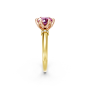 tulips1_shank-yellow_head-rose_center-pink__view-02.png