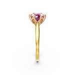 tulips1_shank-yellow_head-rose_center-pink__view-03.png