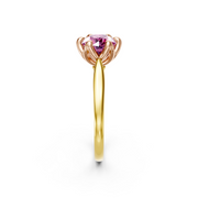 tulips1_shank-yellow_head-rose_center-pink__view-03.png