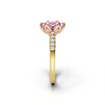 tulips1_shank-yellow_head-rose_center-pink__view-03.png