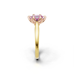tulips1_shank-yellow_head-rose_center-pink__view-03.png