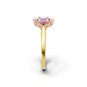 tulips1_shank-yellow_head-rose_center-pink__view-03.png
