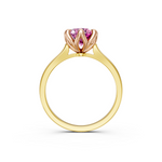 tulips1_shank-yellow_head-rose_center-pink__view-04.png