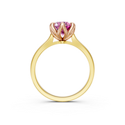 tulips1_shank-yellow_head-rose_center-pink__view-04.png