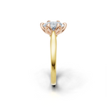 tulips1_shank-yellow_head-rose_center-white__view-03.png