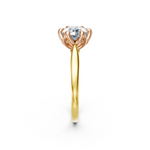 tulips1_shank-yellow_head-rose_center-white__view-03.png