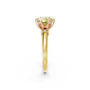 tulips1_shank-yellow_head-rose_center-yellow__view-02.png