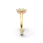 tulips1_shank-yellow_head-rose_center-yellow__view-03.png