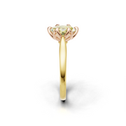 tulips1_shank-yellow_head-rose_center-yellow__view-03.png