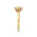 tulips1_shank-yellow_head-rose_center-yellow__view-03.png