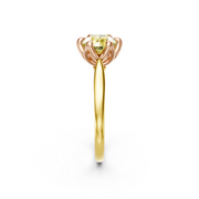 tulips1_shank-yellow_head-rose_center-yellow__view-03.png