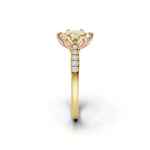 tulips1_shank-yellow_head-rose_center-yellow__view-03.png