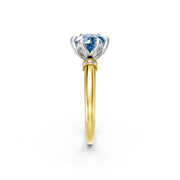 tulips1_shank-yellow_head-white_center-blue__view-02.png