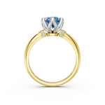 tulips1_shank-yellow_head-white_center-blue__view-03.png