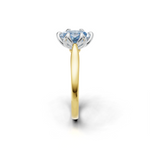 tulips1_shank-yellow_head-white_center-blue__view-03.png