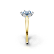 tulips1_shank-yellow_head-white_center-blue__view-03.png