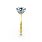 tulips1_shank-yellow_head-white_center-blue__view-03.png