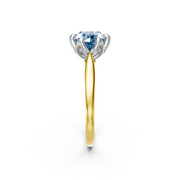 tulips1_shank-yellow_head-white_center-blue__view-03.png