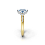 tulips1_shank-yellow_head-white_center-blue__view-03.png
