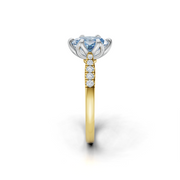 tulips1_shank-yellow_head-white_center-blue__view-03.png