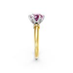 tulips1_shank-yellow_head-white_center-pink__view-02.png