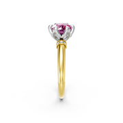 tulips1_shank-yellow_head-white_center-pink__view-02.png