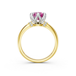 tulips1_shank-yellow_head-white_center-pink__view-03.png