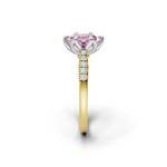 tulips1_shank-yellow_head-white_center-pink__view-03.png