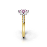 tulips1_shank-yellow_head-white_center-pink__view-03.png