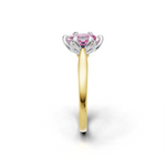 tulips1_shank-yellow_head-white_center-pink__view-03.png