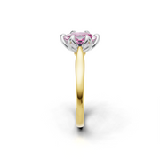 tulips1_shank-yellow_head-white_center-pink__view-03.png