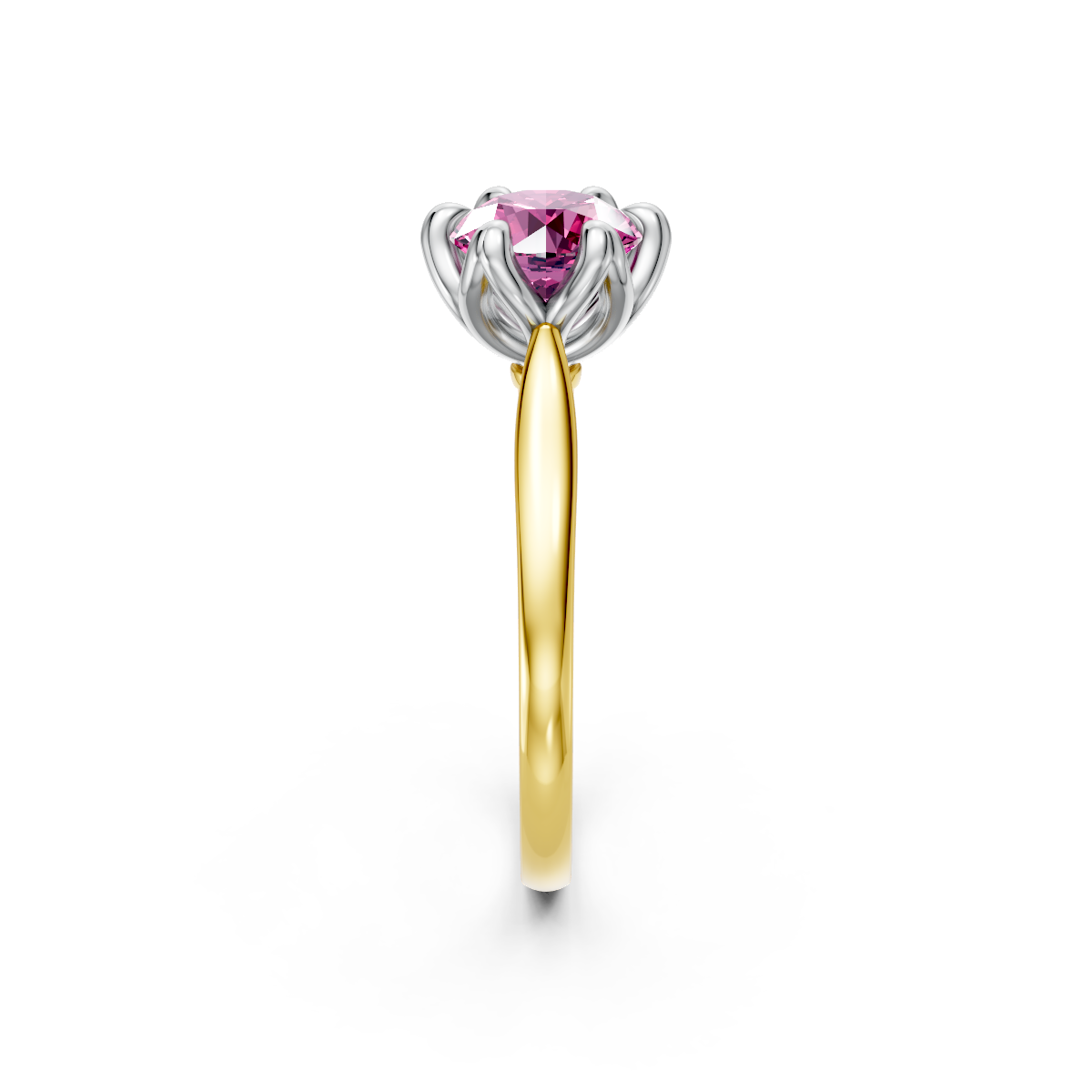 tulips1_shank-yellow_head-white_center-pink__view-03.png