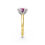 tulips1_shank-yellow_head-white_center-pink__view-03.png