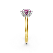 tulips1_shank-yellow_head-white_center-pink__view-03.png