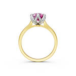 tulips1_shank-yellow_head-white_center-pink__view-04.png
