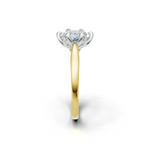 tulips1_shank-yellow_head-white_center-white__view-03.png