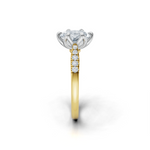 tulips1_shank-yellow_head-white_center-white__view-03.png