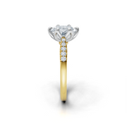 tulips1_shank-yellow_head-white_center-white__view-03.png
