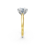 tulips1_shank-yellow_head-white_center-white__view-03.png