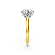 tulips1_shank-yellow_head-white_center-white__view-03.png