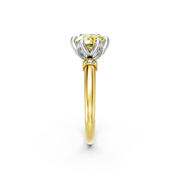 tulips1_shank-yellow_head-white_center-yellow__view-02.png