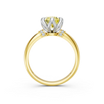 tulips1_shank-yellow_head-white_center-yellow__view-03.png