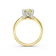 tulips1_shank-yellow_head-white_center-yellow__view-03.png