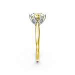 tulips1_shank-yellow_head-white_center-yellow__view-03.png