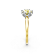 tulips1_shank-yellow_head-white_center-yellow__view-03.png