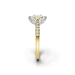 tulips1_shank-yellow_head-white_center-yellow__view-03.png